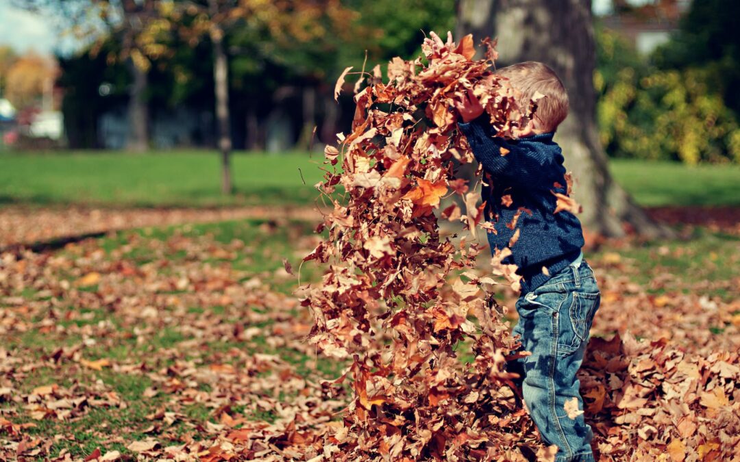 boy playing with fall leaves outdoors